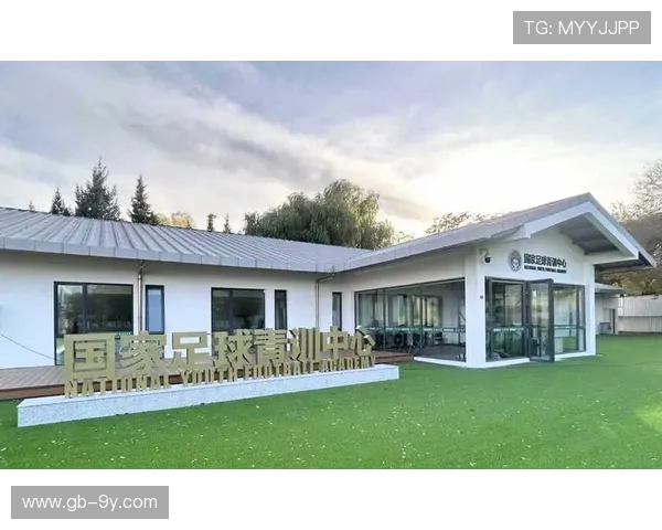 以安徽十八岁以下足球为中心的区域青训体系发展路径深入研究探讨